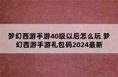 梦幻西游手游40级以后怎么玩 梦幻西游手游礼包码2024最新